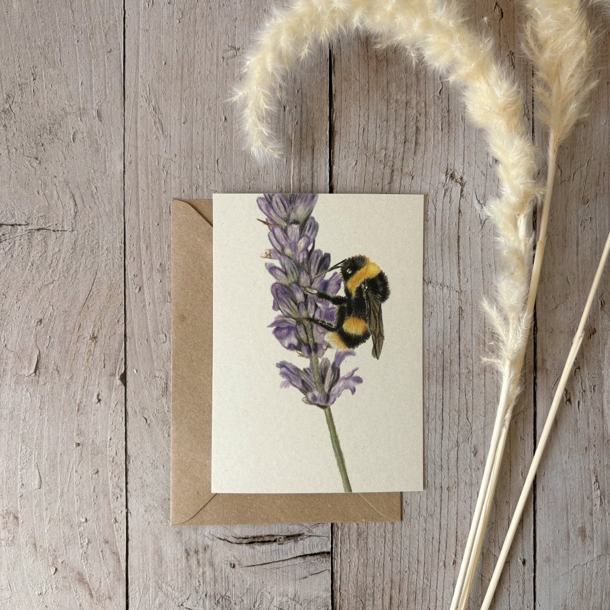 A6 card | Kingfisher 2.0