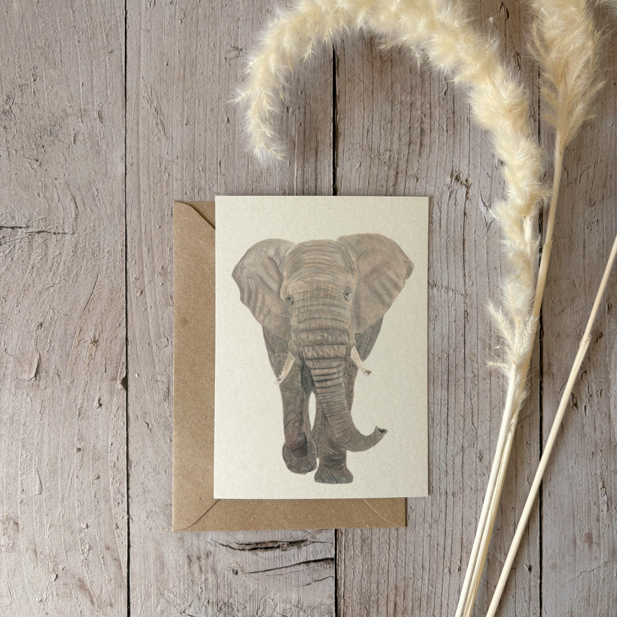 Kaarten set | Wilde dieren | 5 kaarten