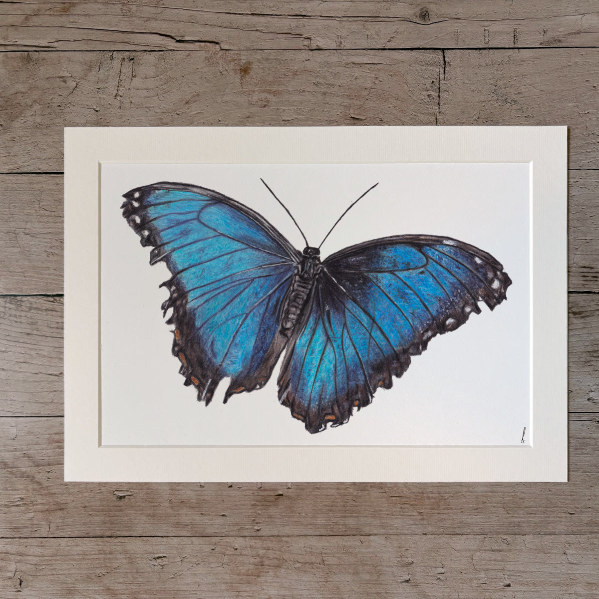 Print | Blue butterfly