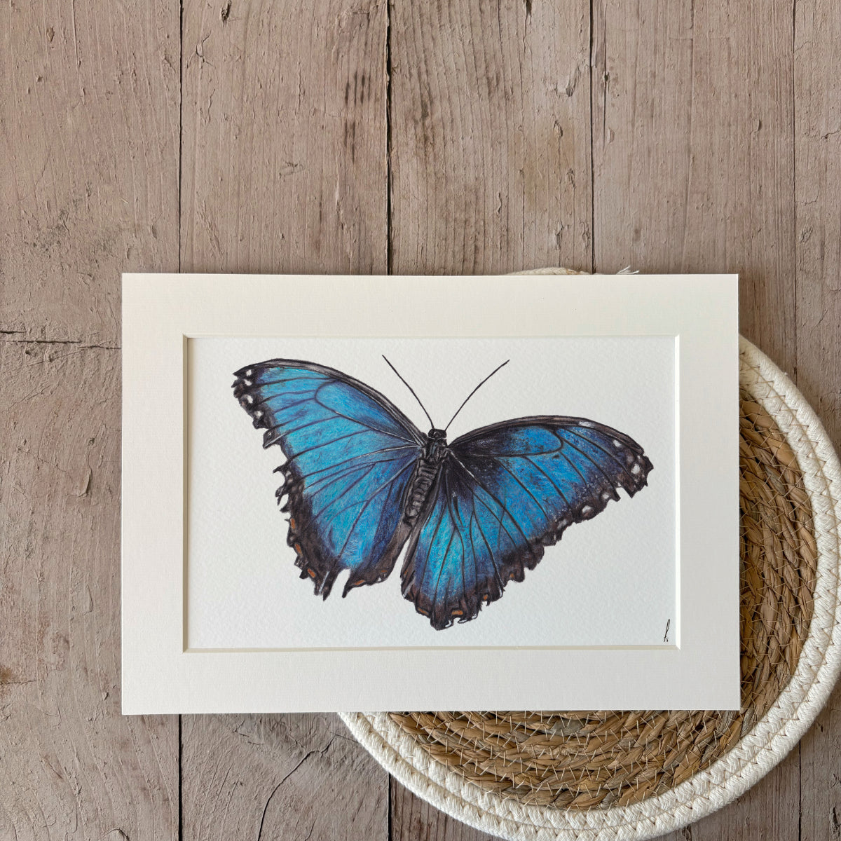 Print | Blue butterfly