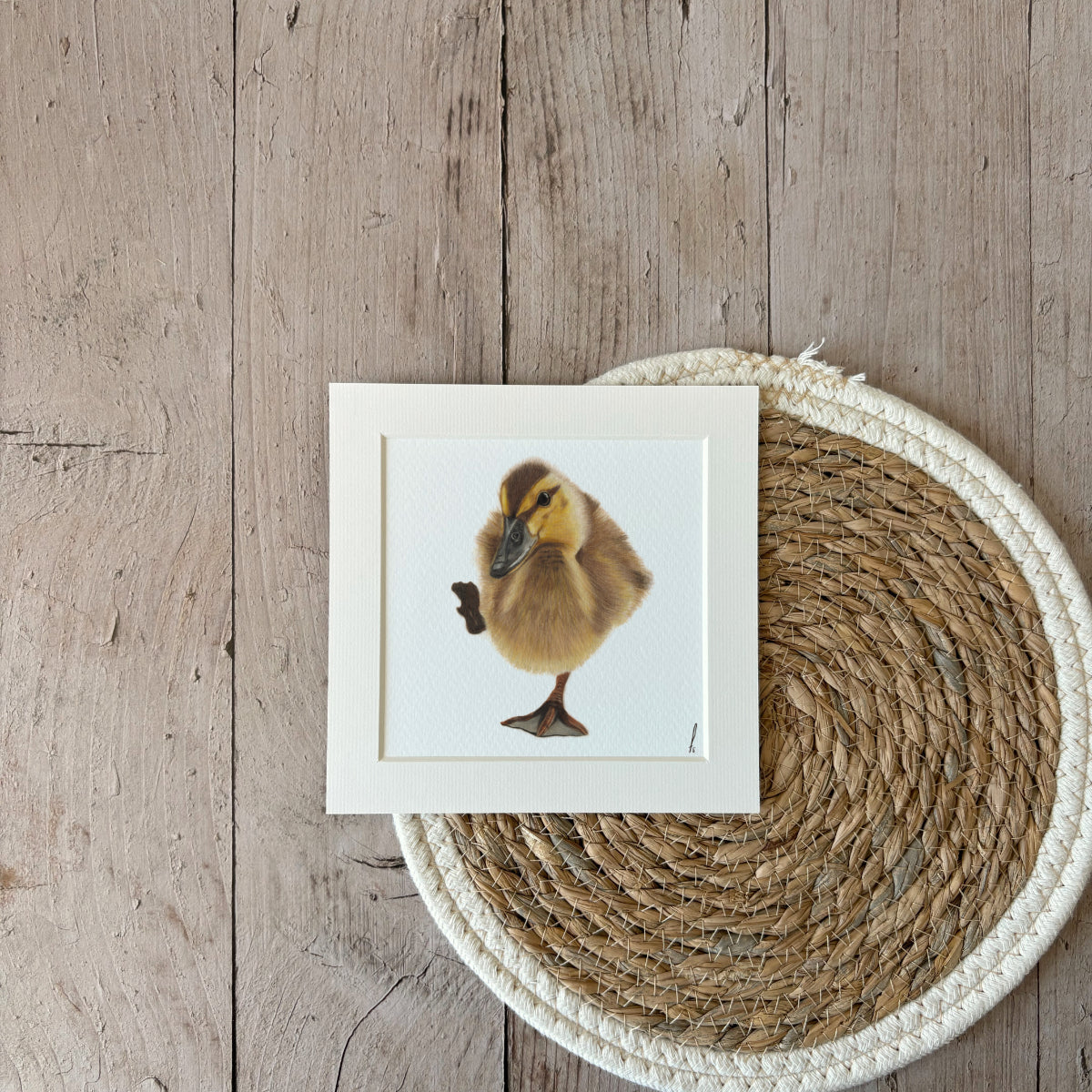 Prints | Duckling