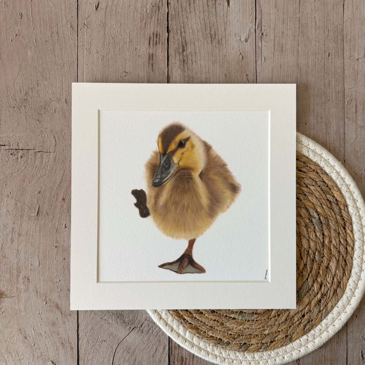 Prints | Duckling