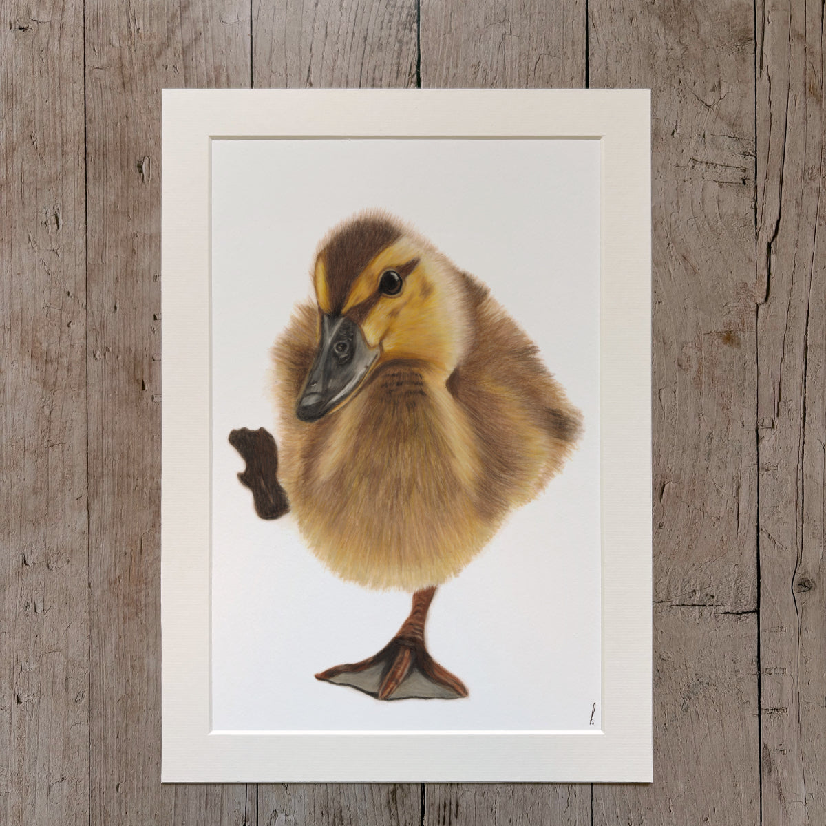 Prints | Duckling