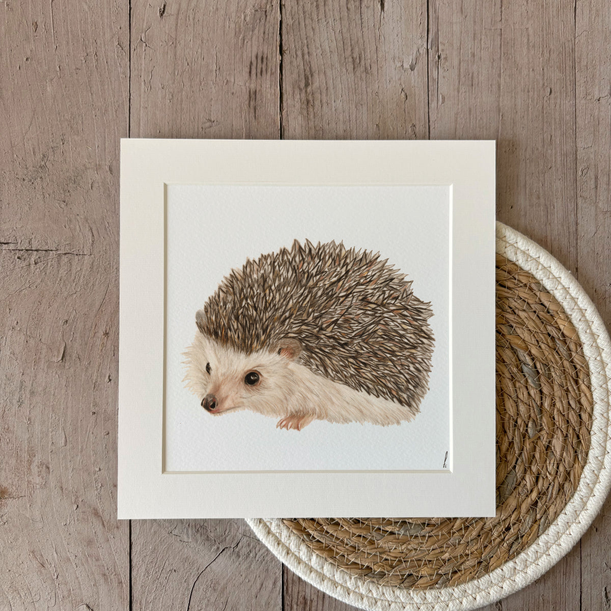 Print | Hedgehog
