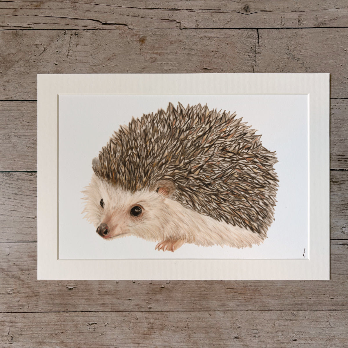 Print | Hedgehog