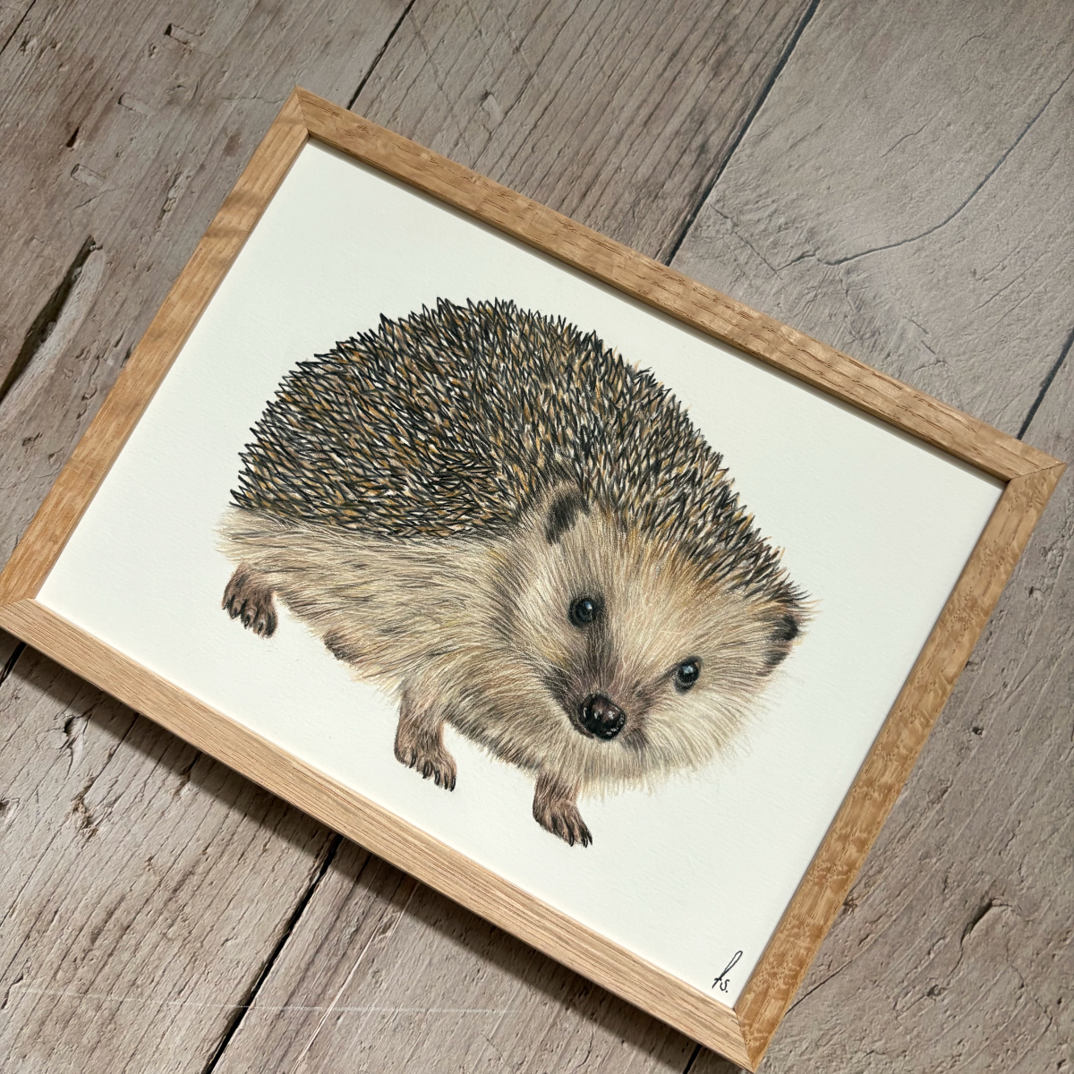 Originele tekening | Egel