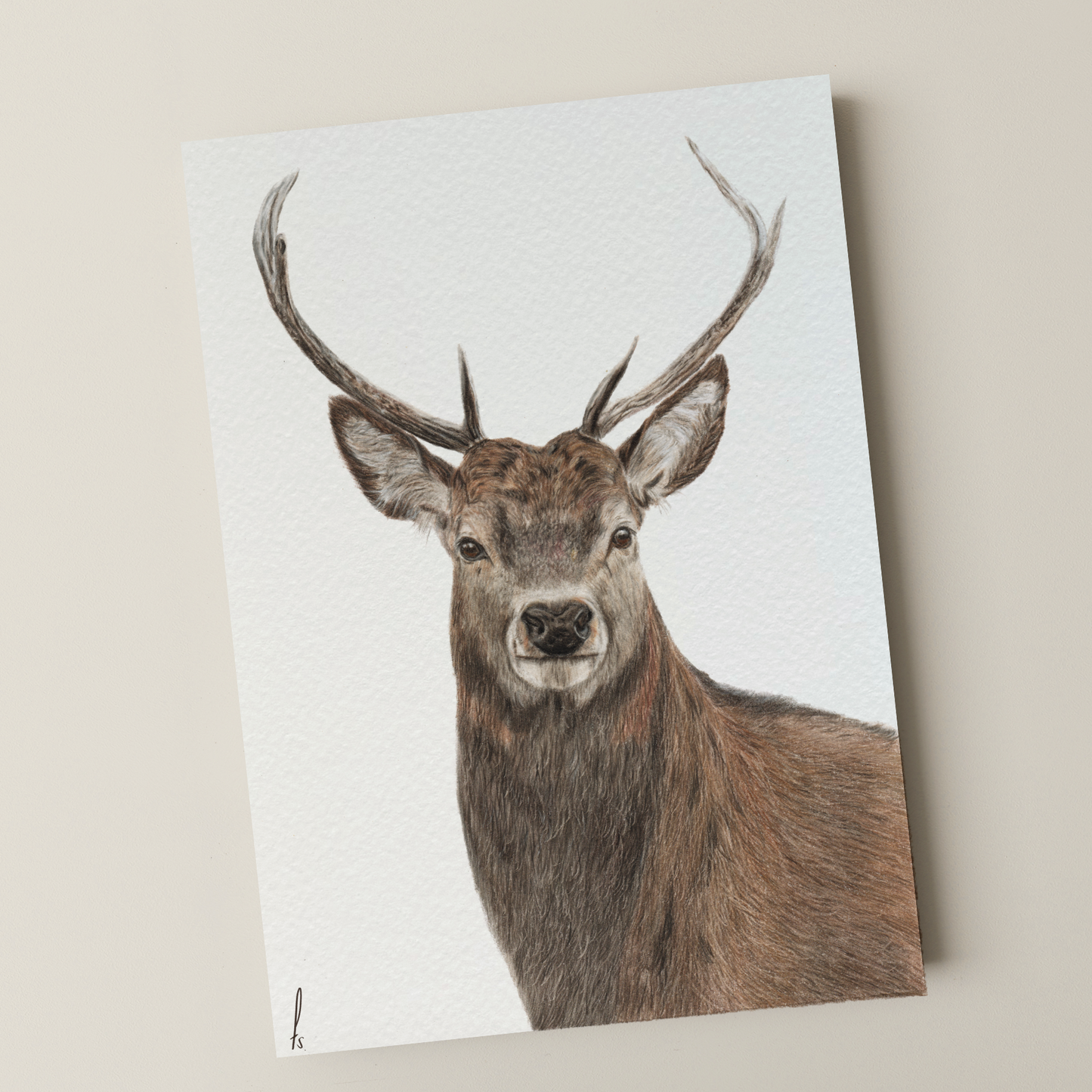 Print | Stag