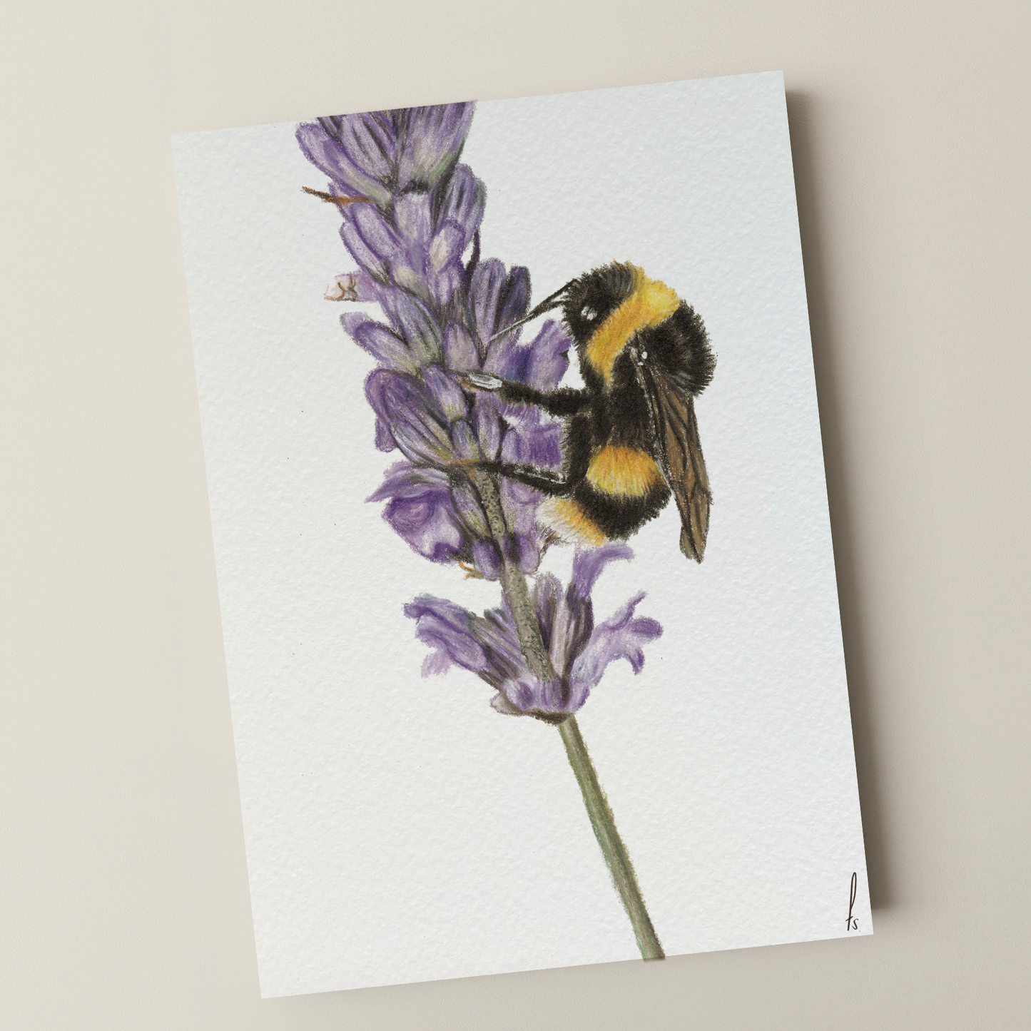 Print | Hommel op bloem