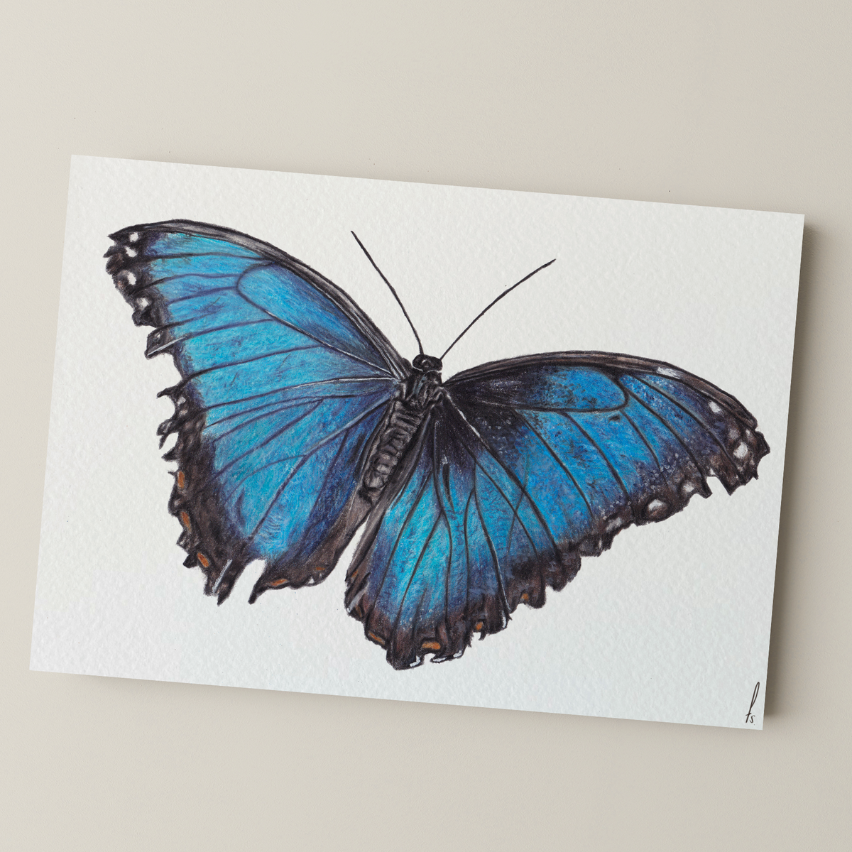 Print | Morpho