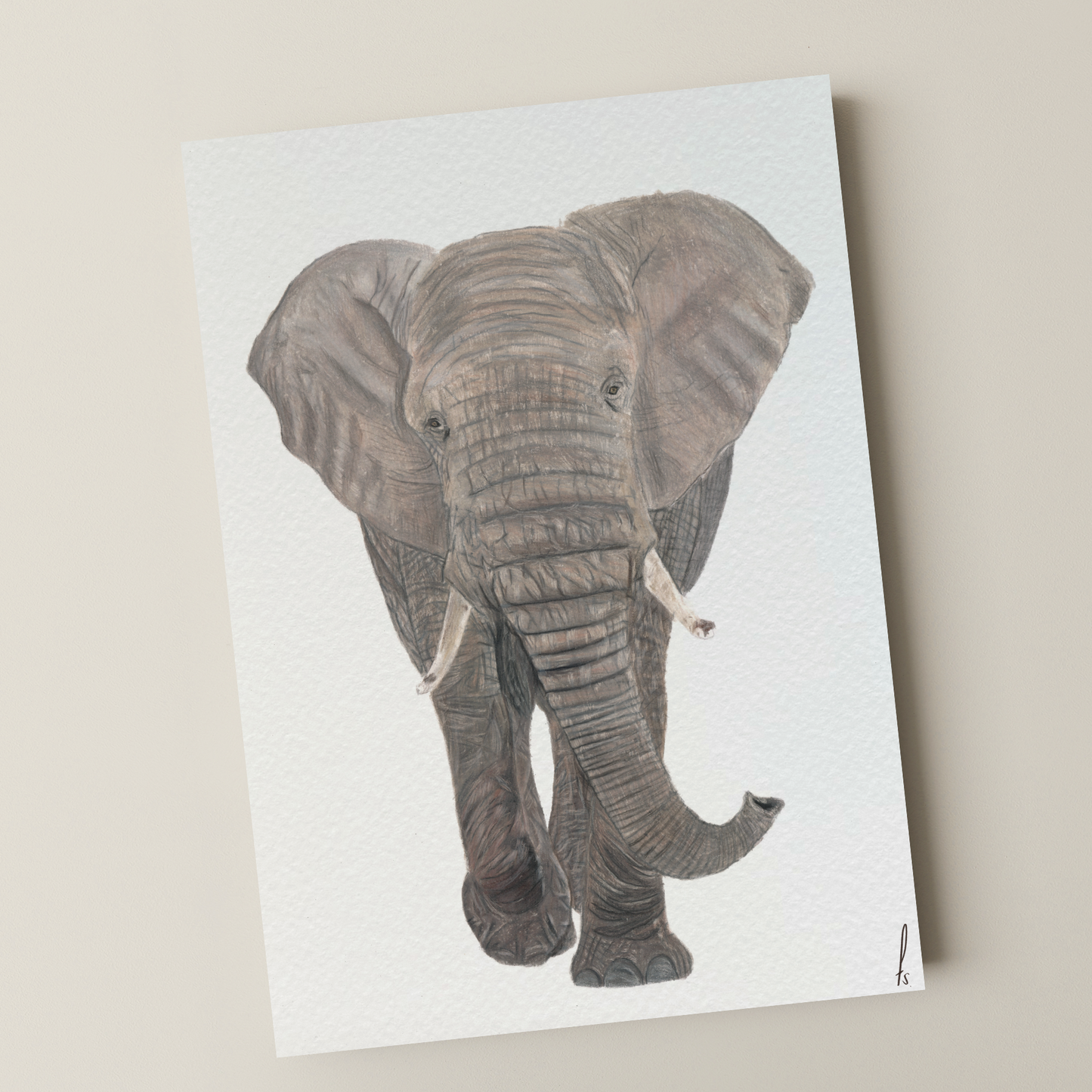 Print | Olifant