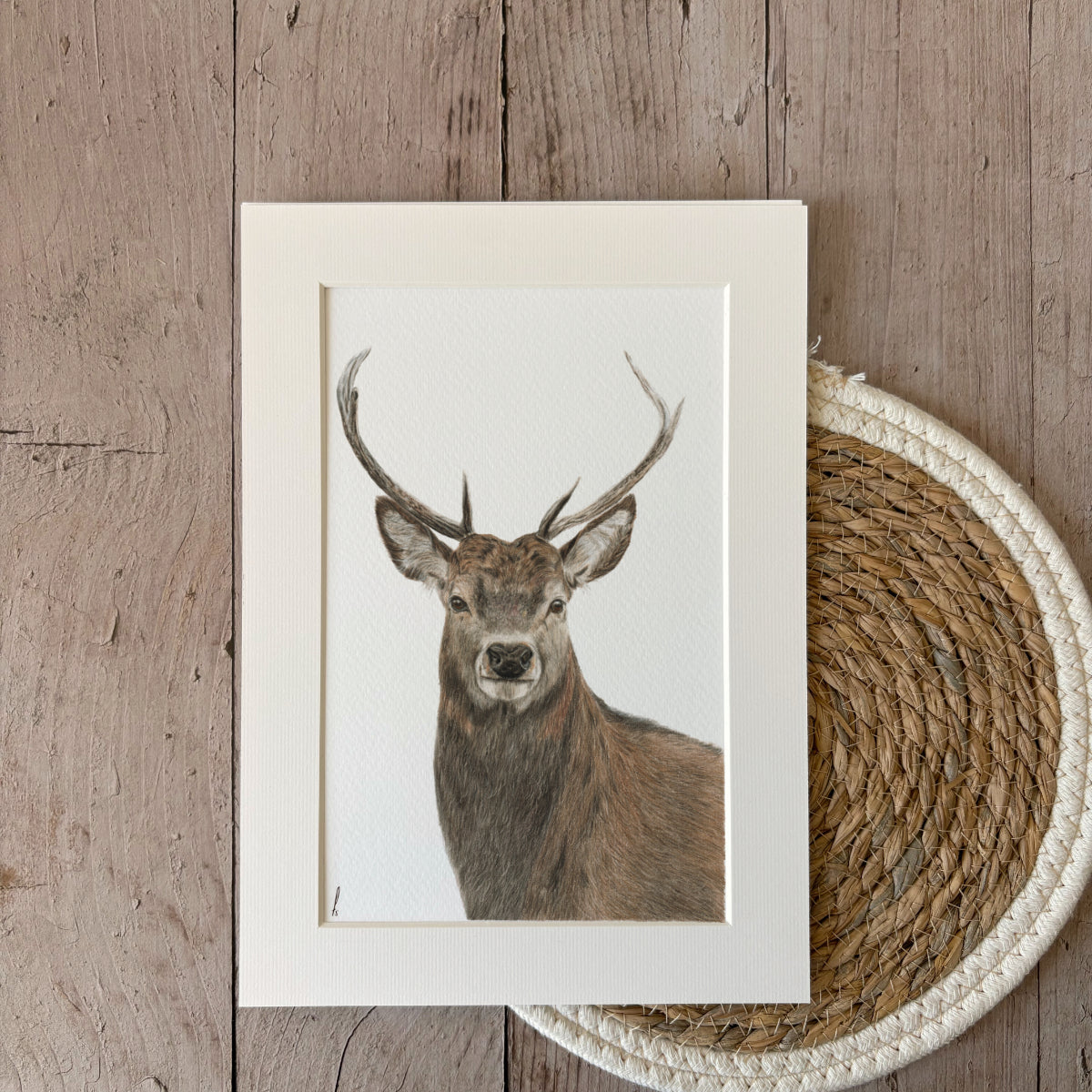 Print | Stag