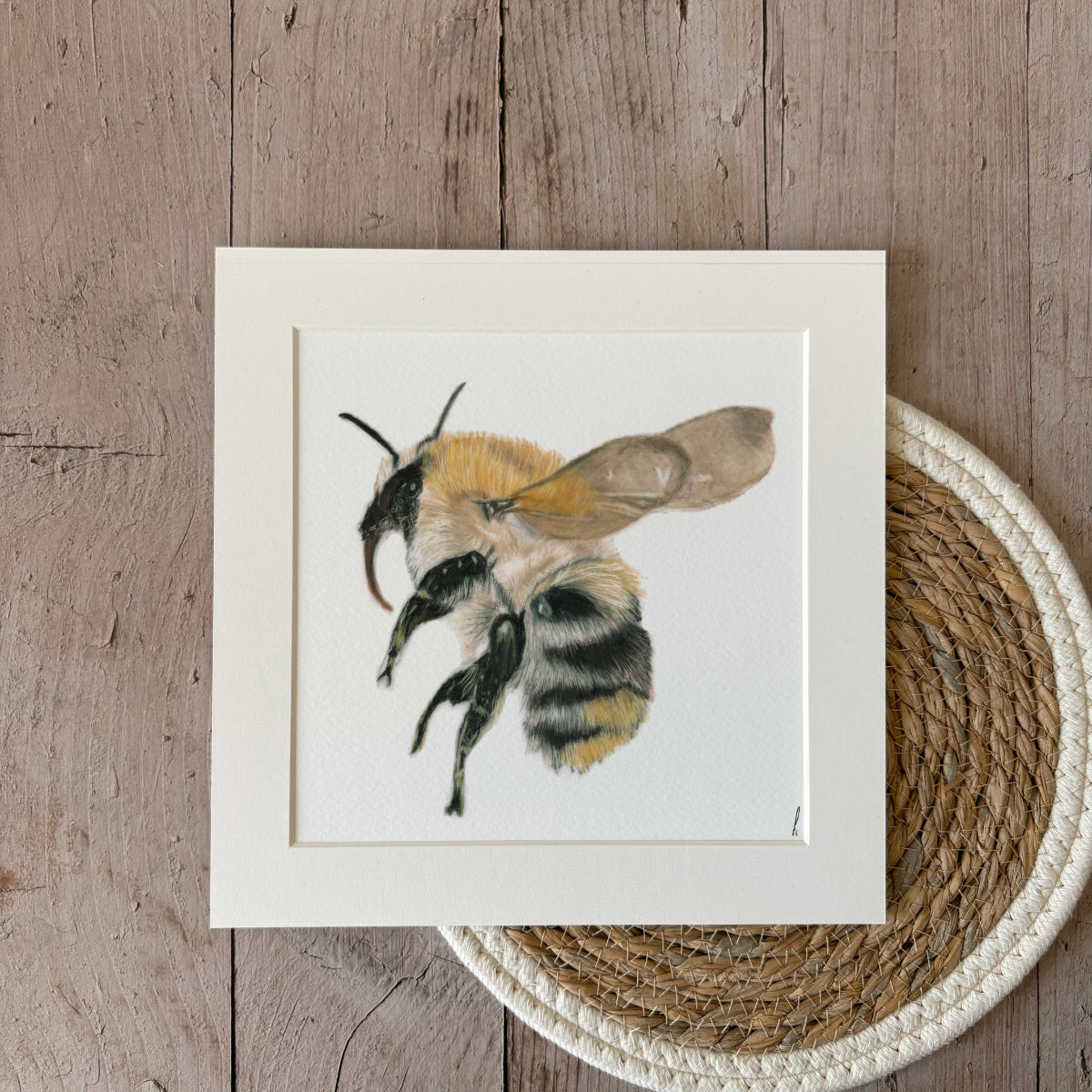 Print | Bumblebee