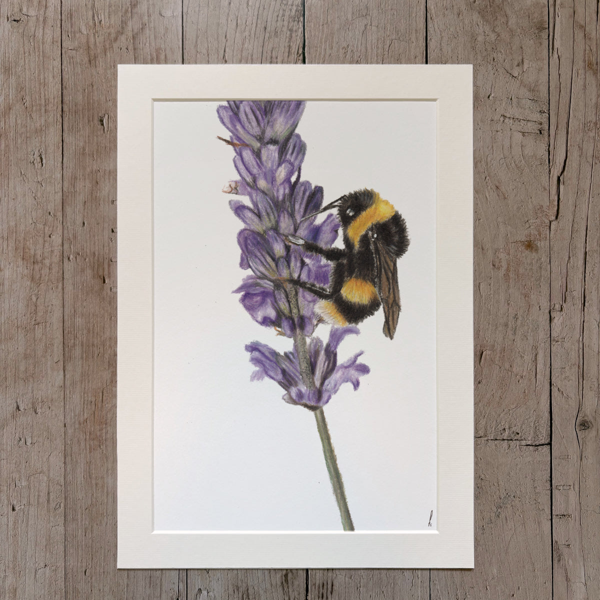 Print | Hommel op bloem