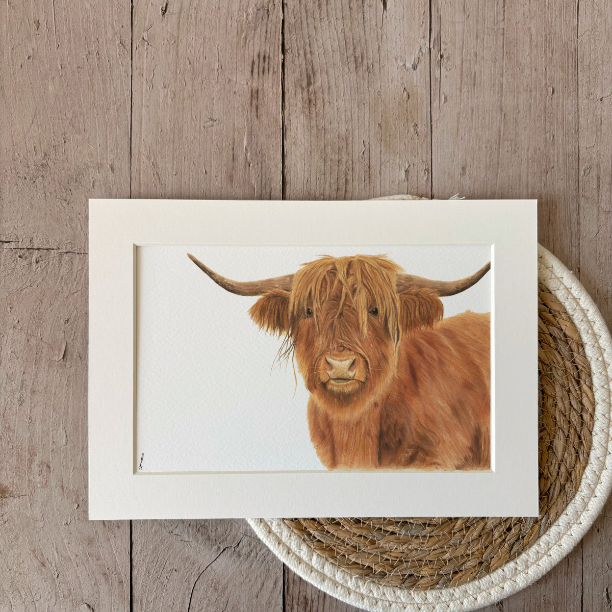 Print | Highland cow