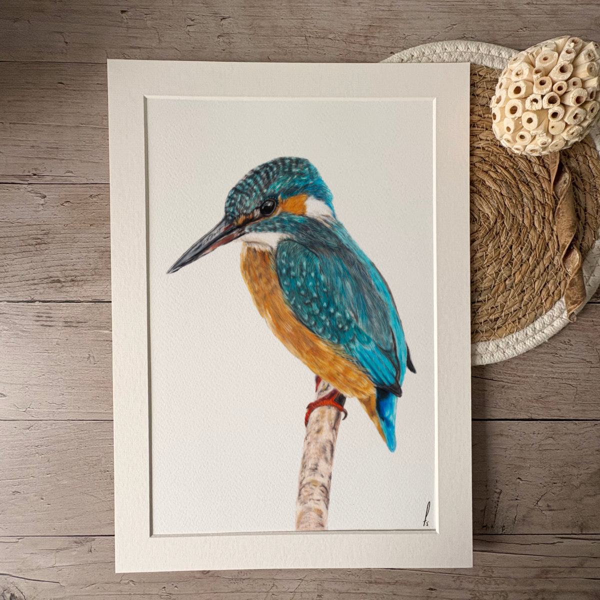 Print | IJsvogel
