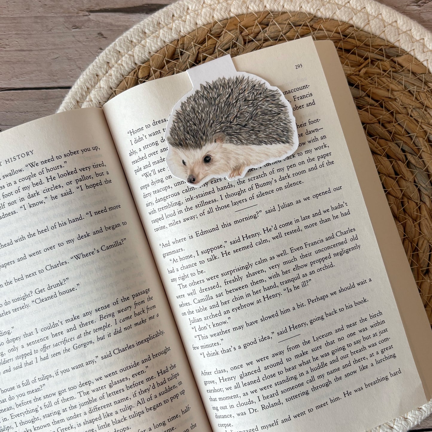 Magnetische boekenlegger | Egel