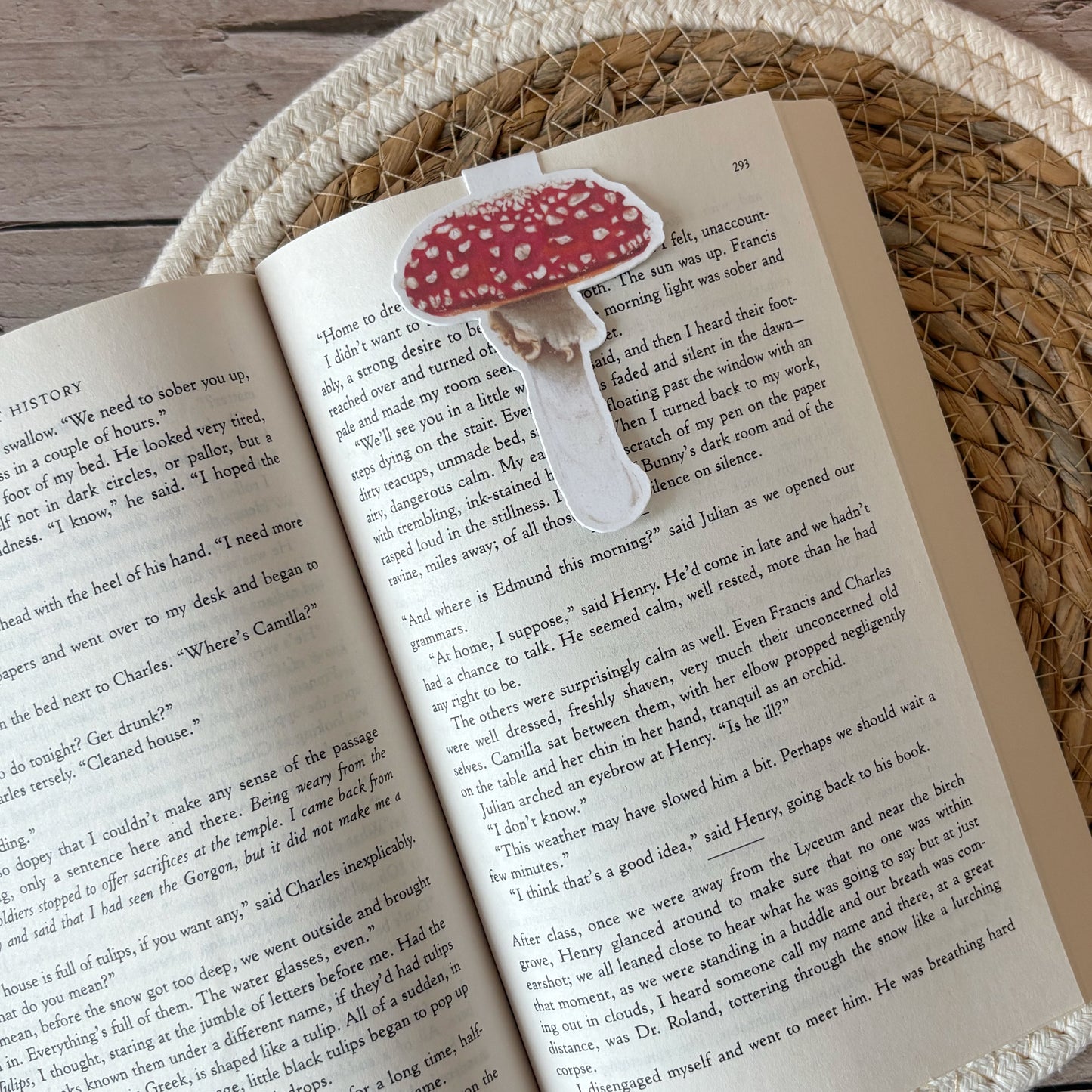 Magnetische boekenlegger | Vliegenzwam