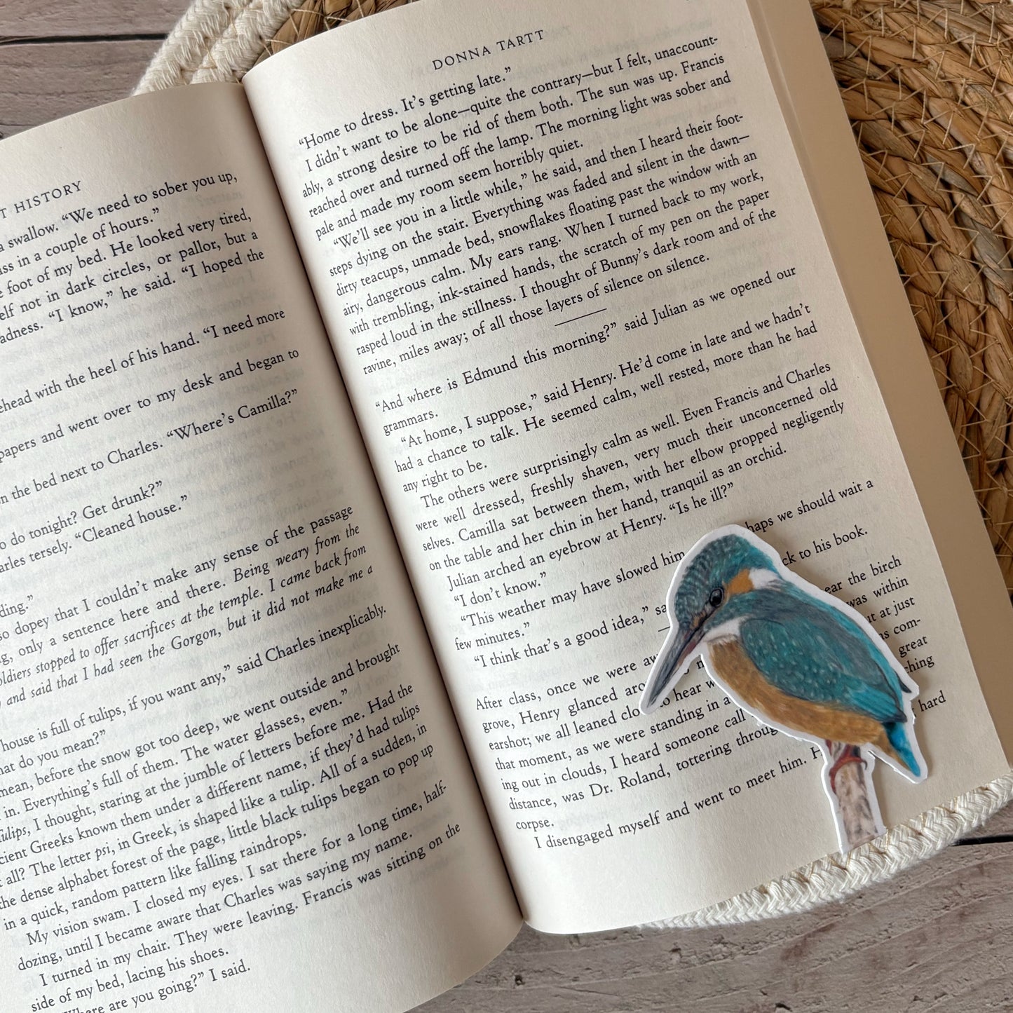 Magnetische boekenlegger | IJsvogel
