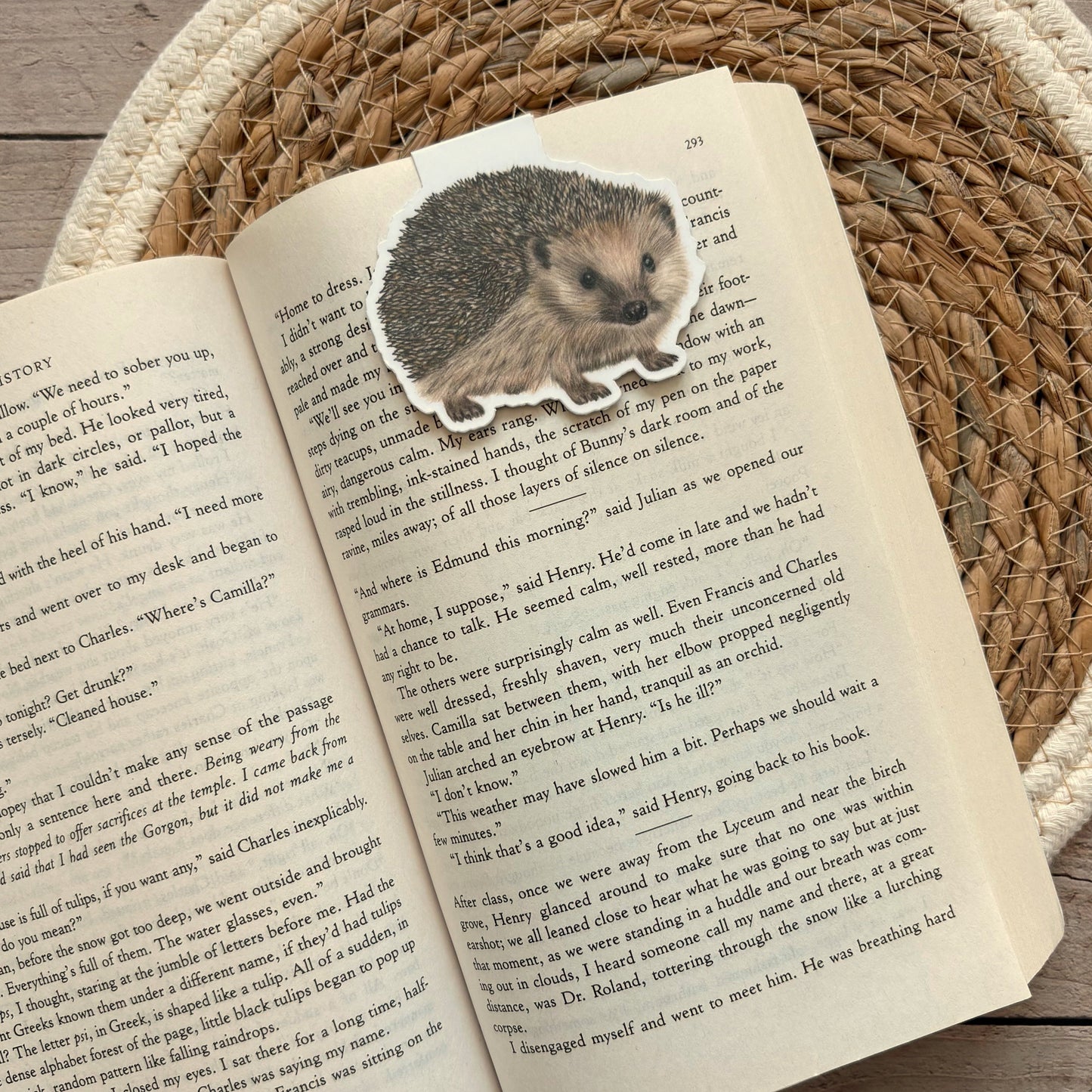 Wholesale | Magnetische Boekenlegger | Egel