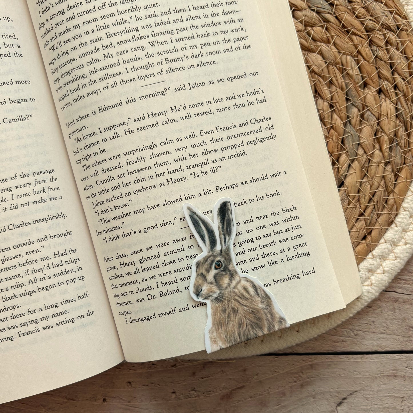 Magnetische Boekenlegger | Haas