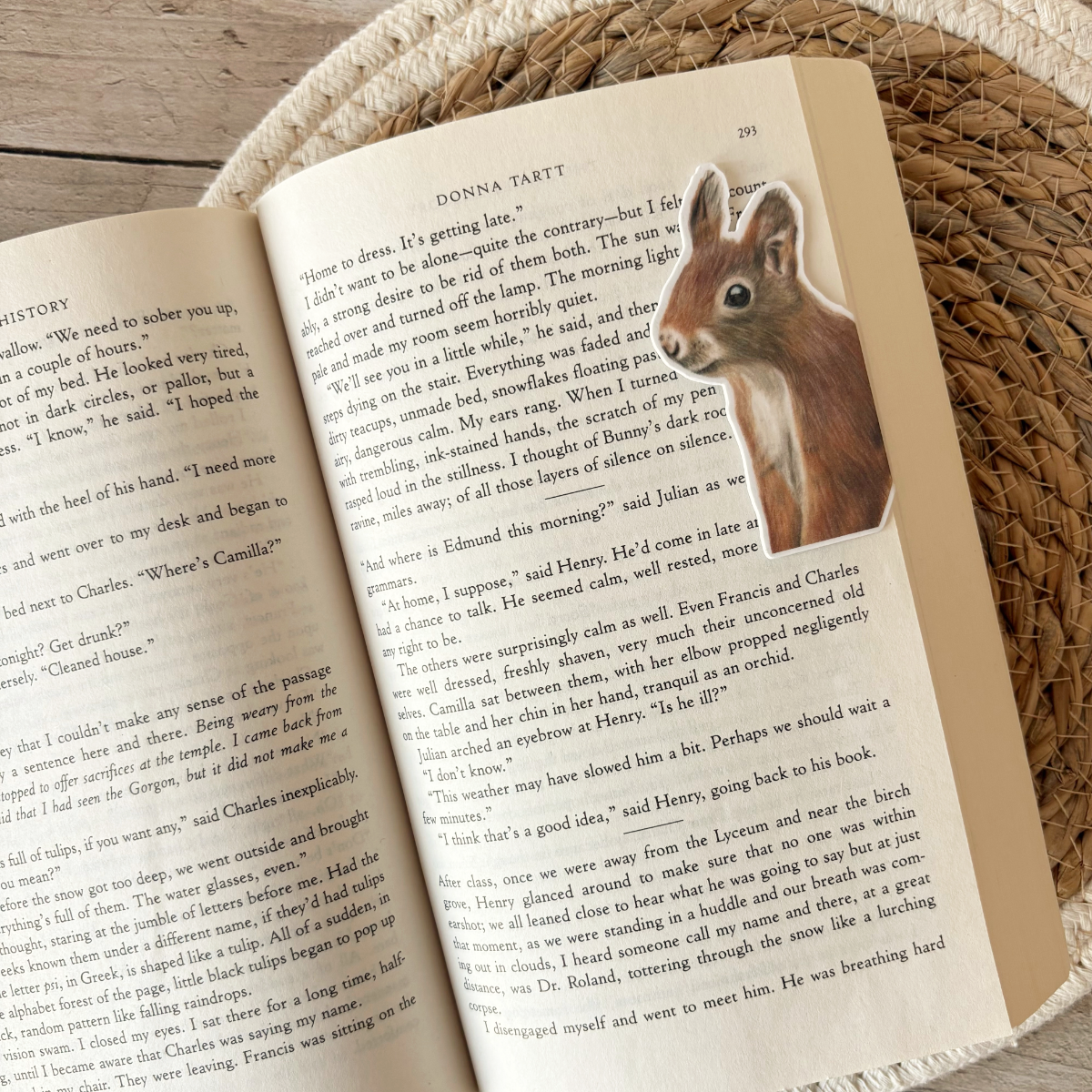 Magnetische Boekenlegger | Eekhoorn