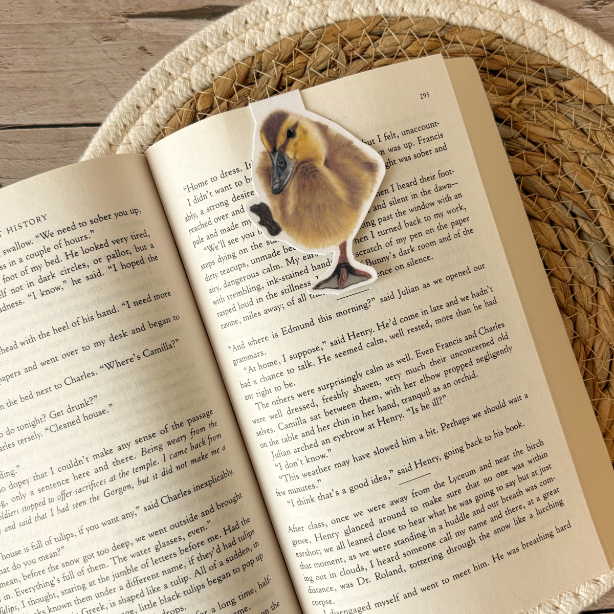 Magnetische Boekenlegger | Eendje