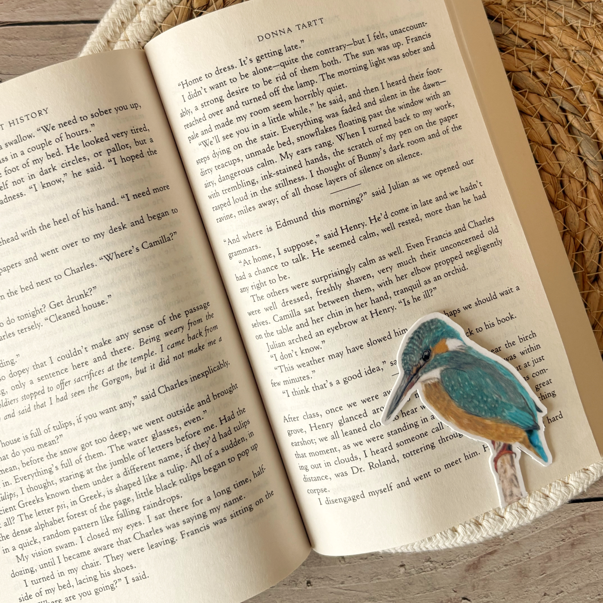 Magnetische Boekenlegger | IJsvogel