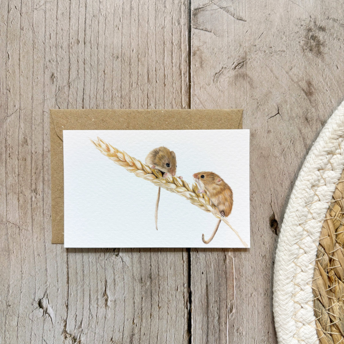 Mini kaartje | Veldmuizen