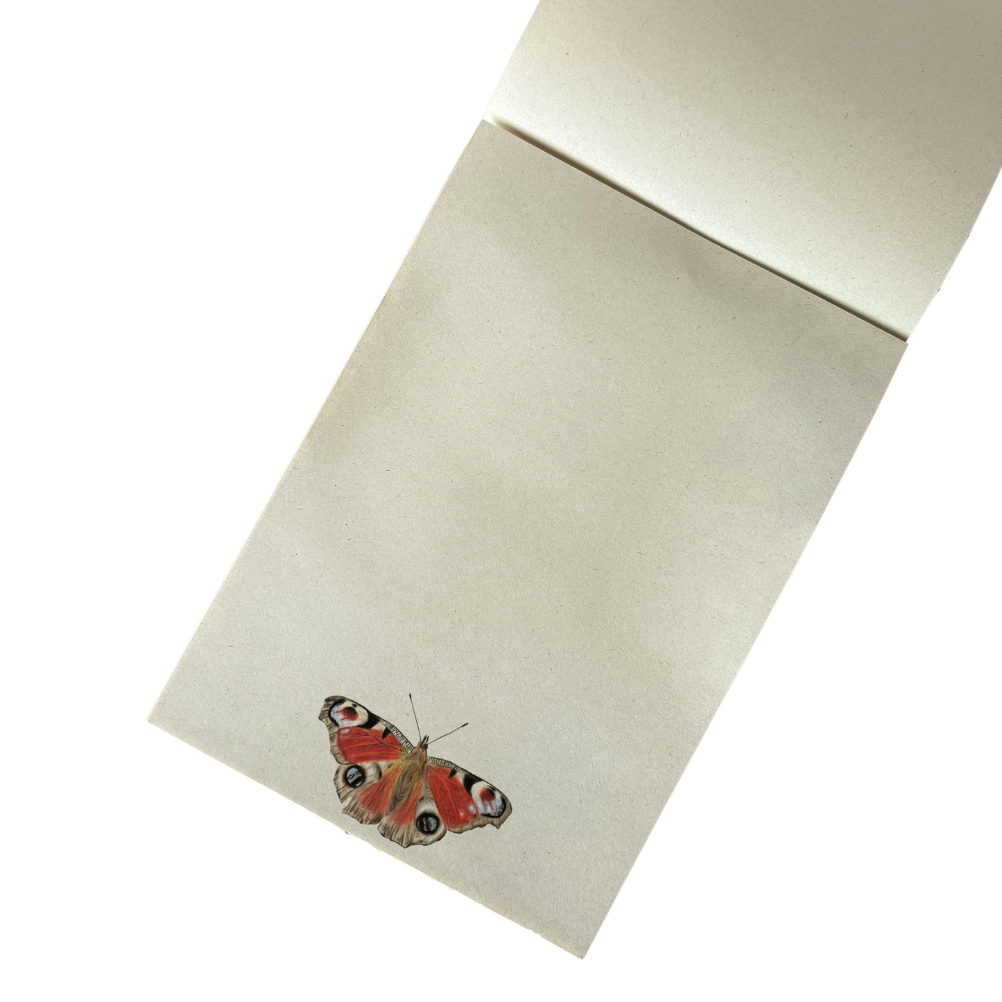 Notitieblok | Dagpauwoog