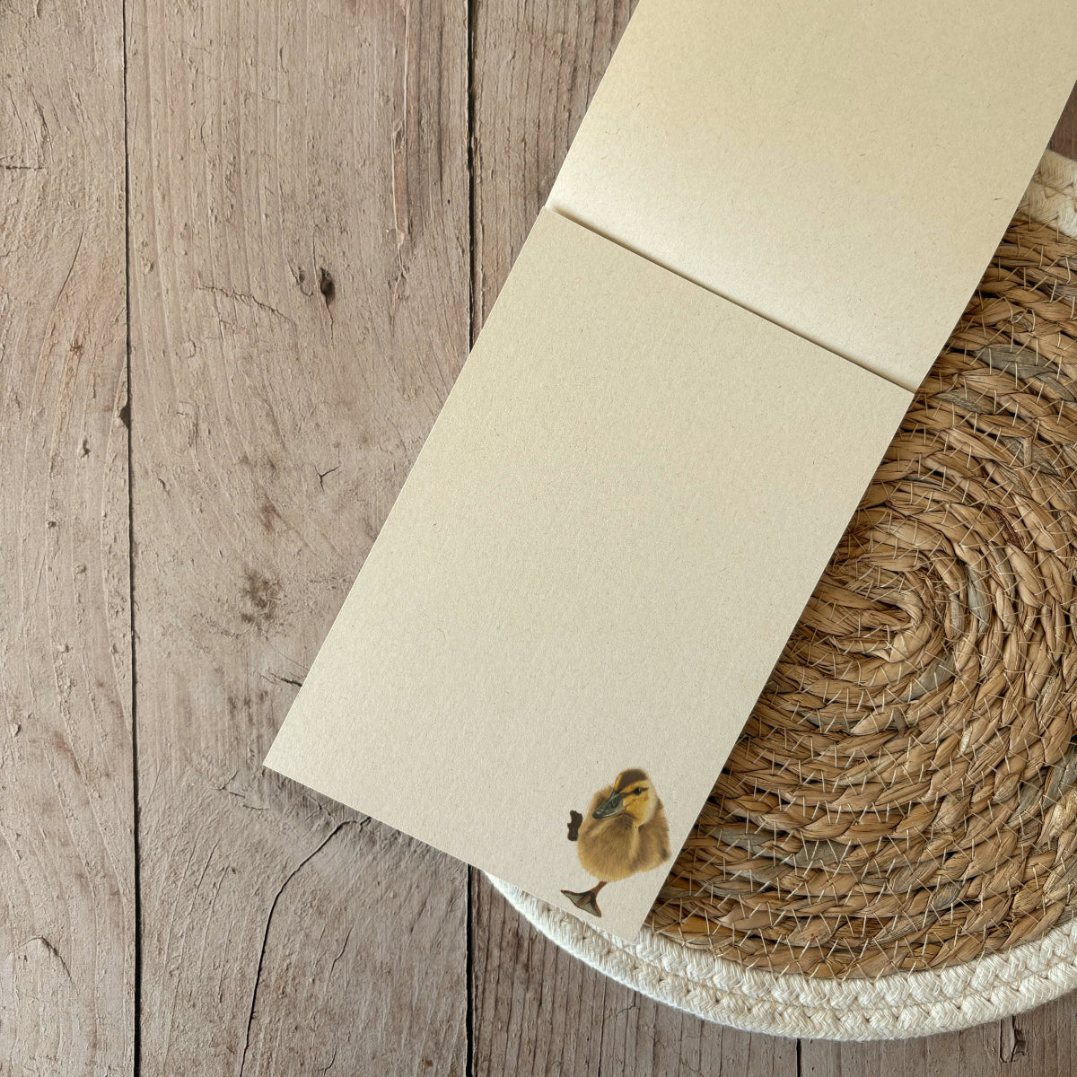 Notepad | Duckling