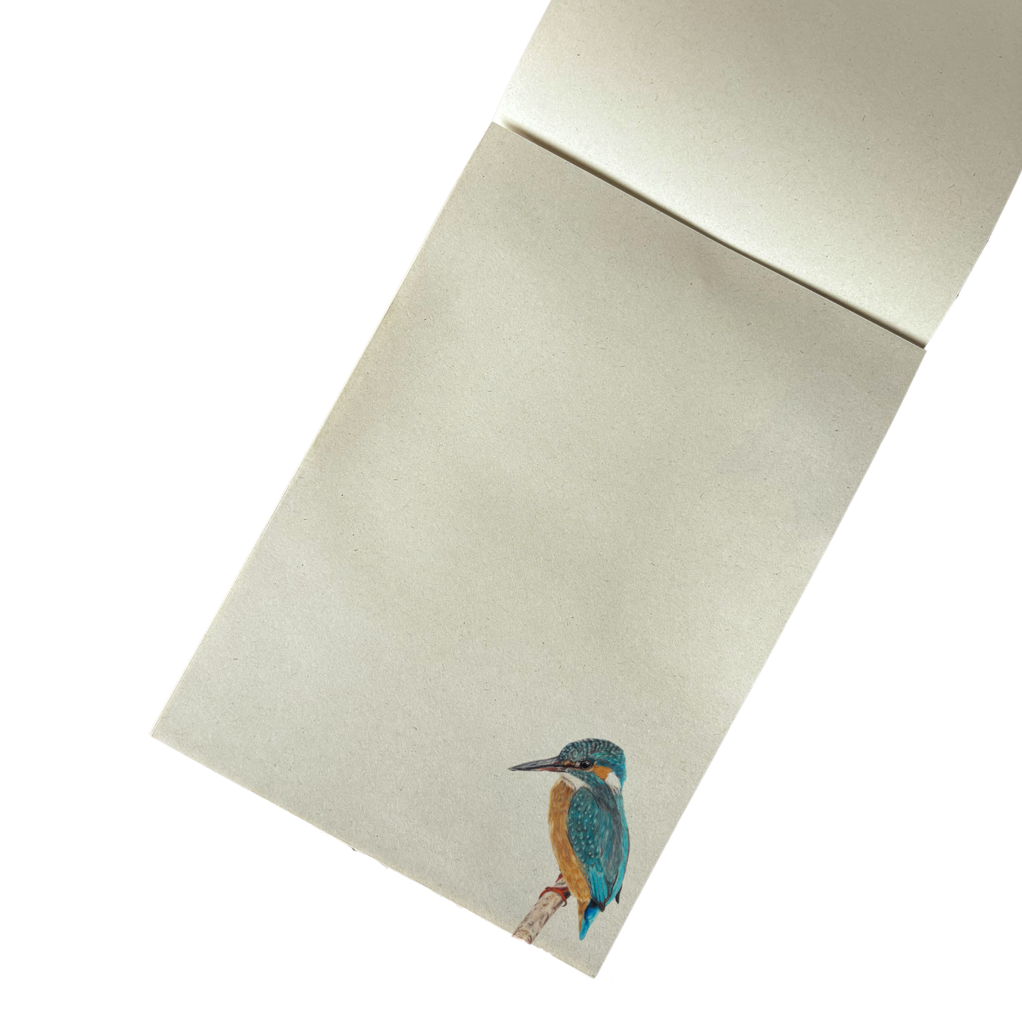 Notitieblok | IJsvogel