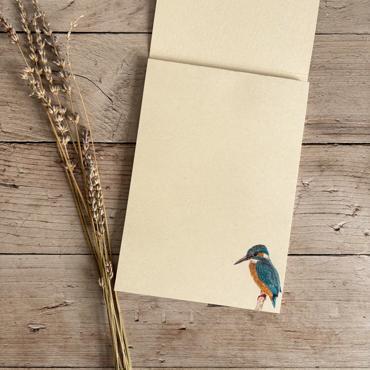 Notepad | Kingfisher