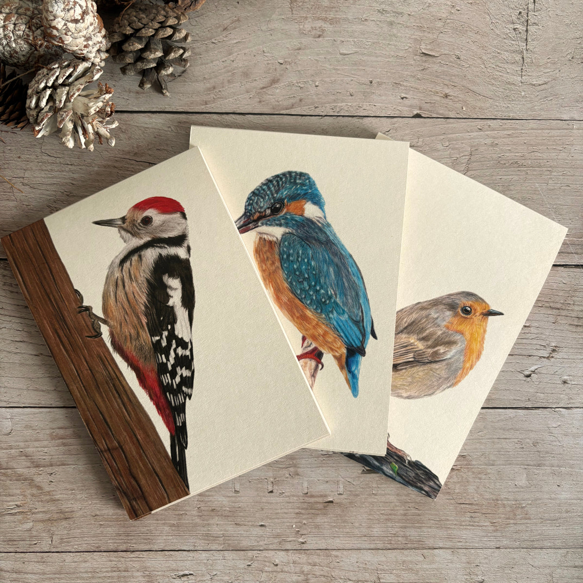 Notitieblokken set van 3 | Vogels