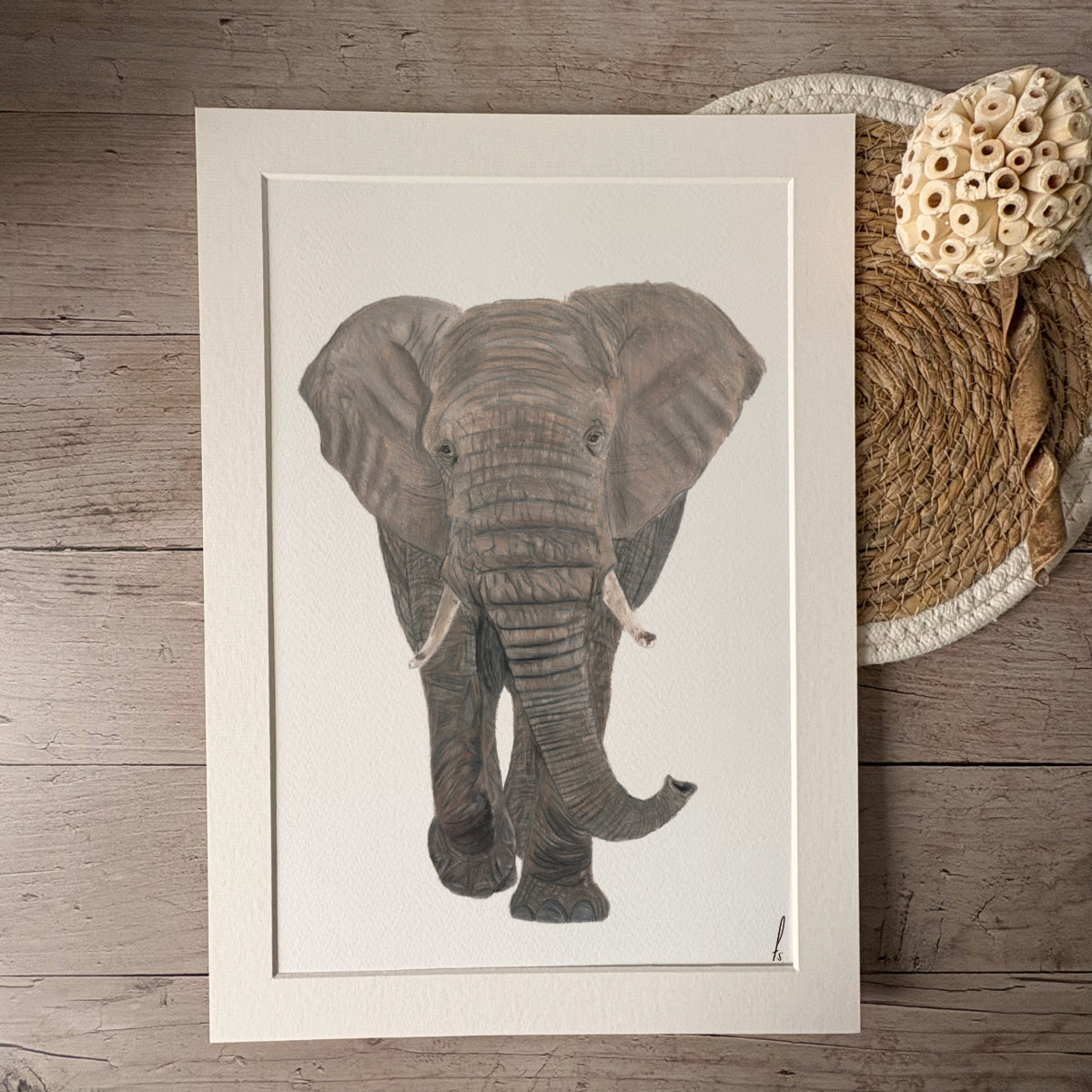 Print | Olifant