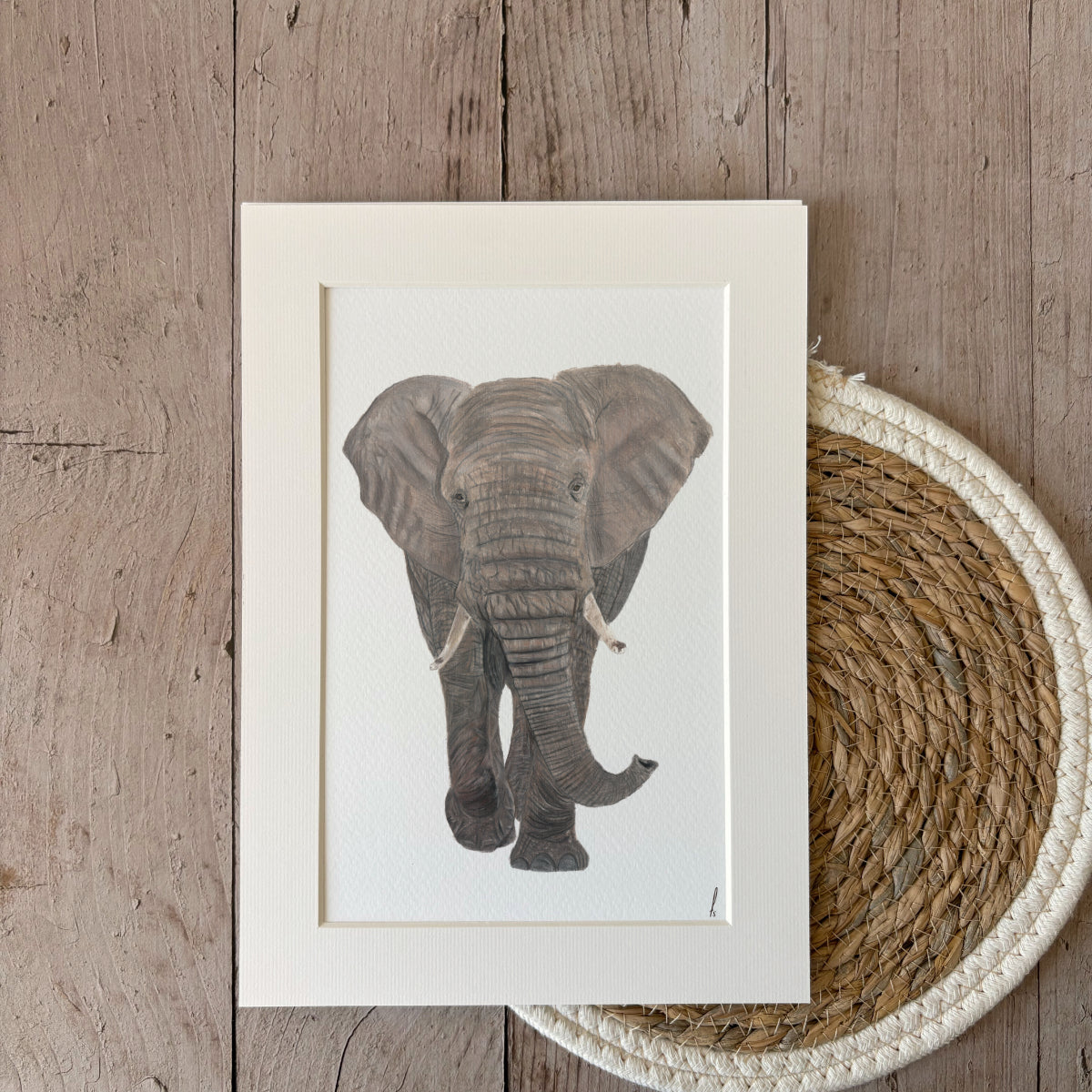 Print | Elephant