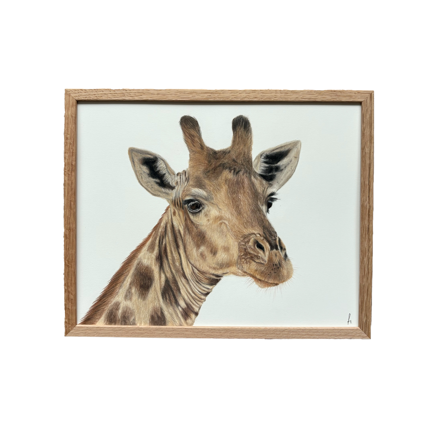 Originele tekening | Giraffe