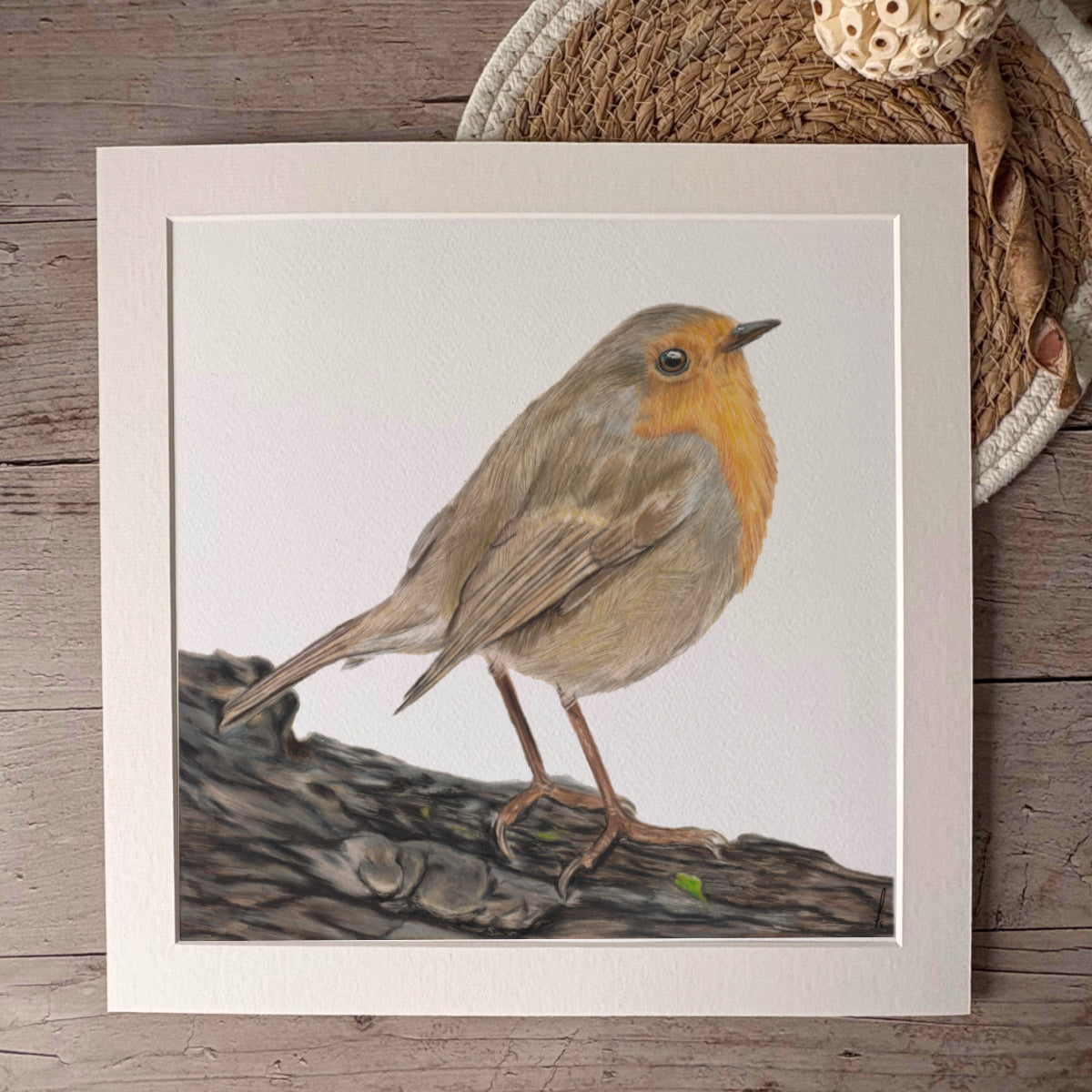 Print | Roodborstje