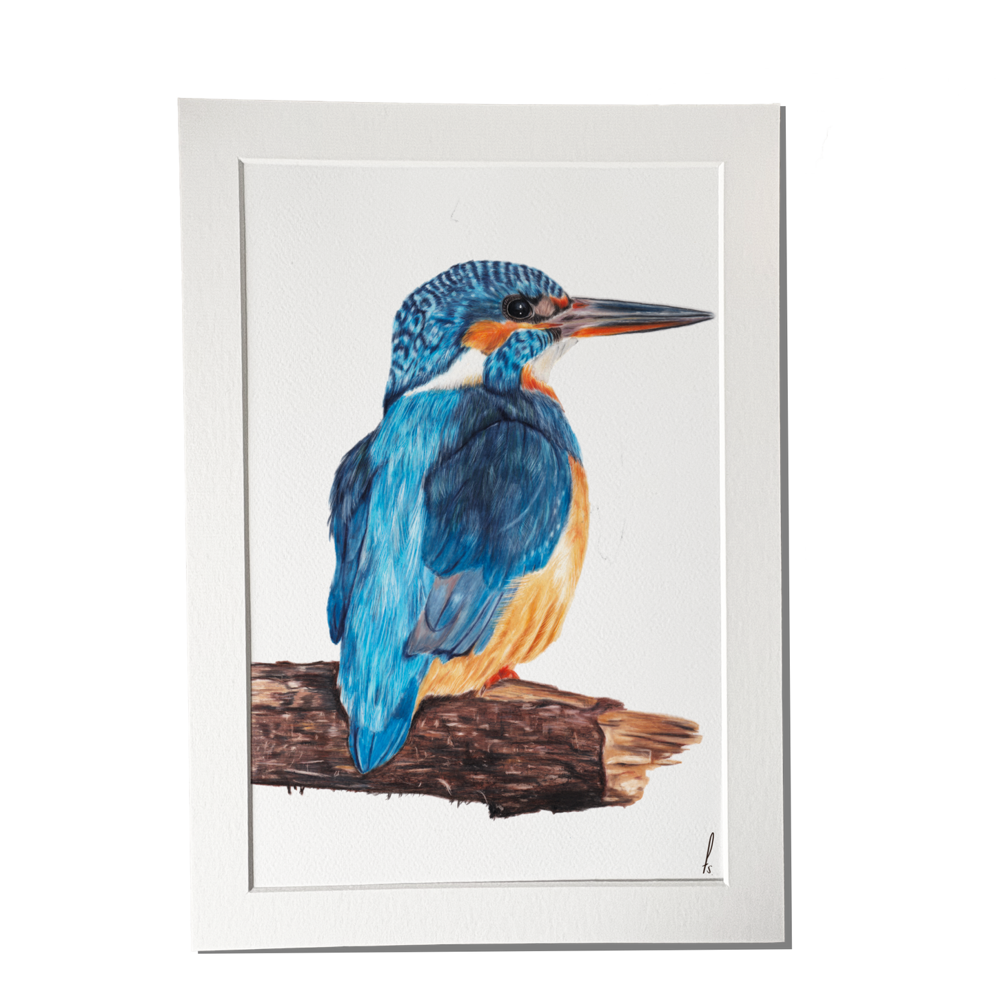 Print | IJsvogel op hout