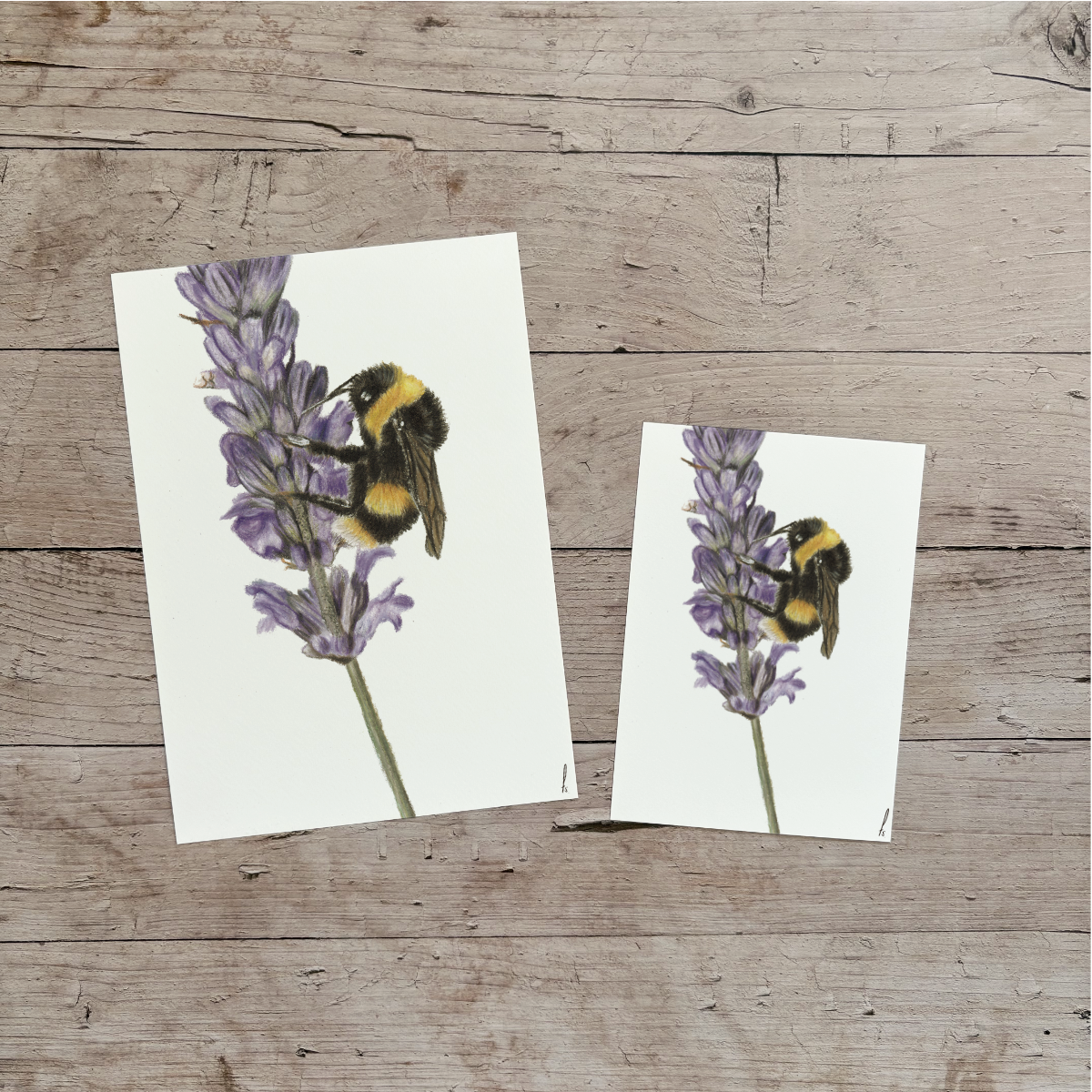 Wholesale | Print | Hommel op bloem