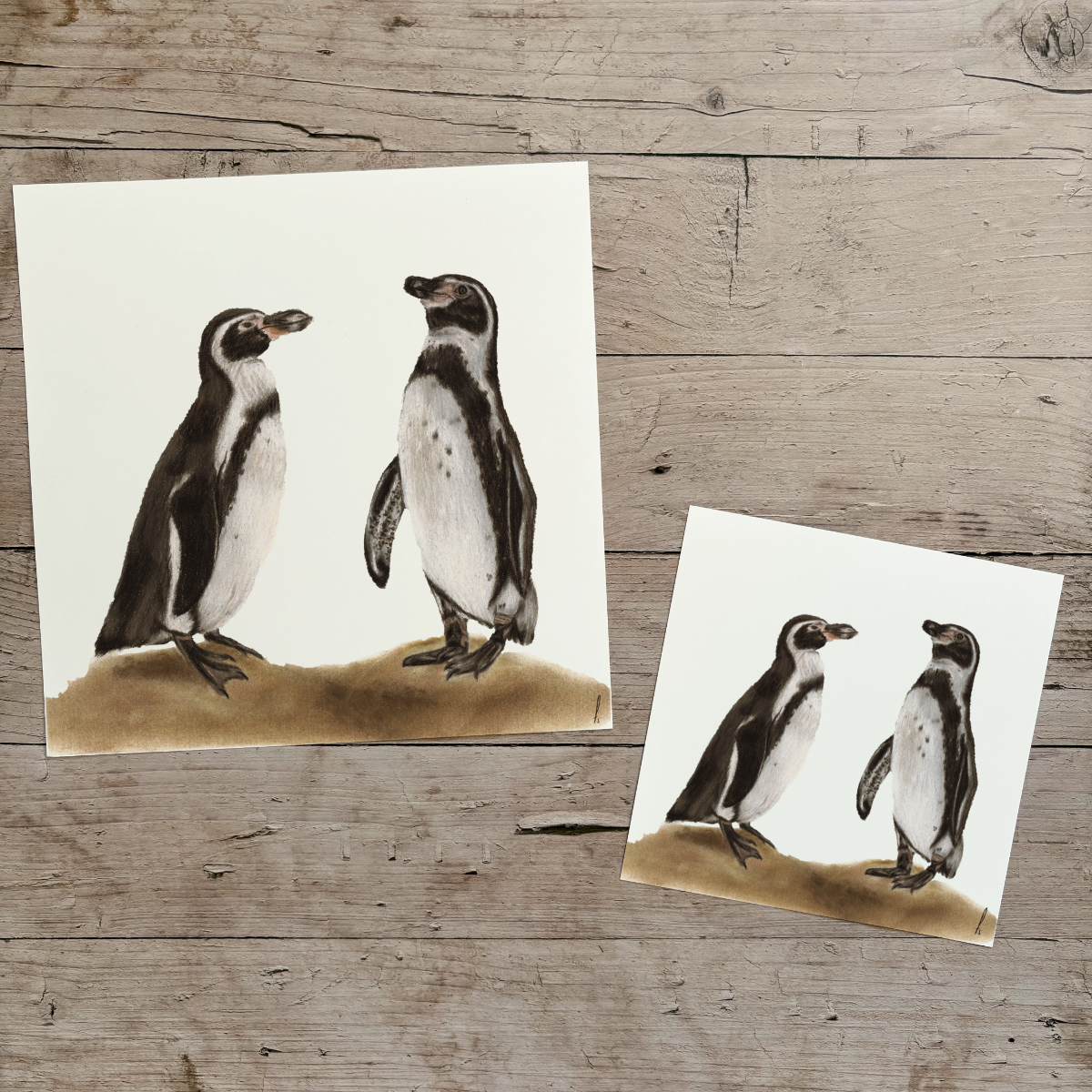 Wholesale | Print | Pinguïns