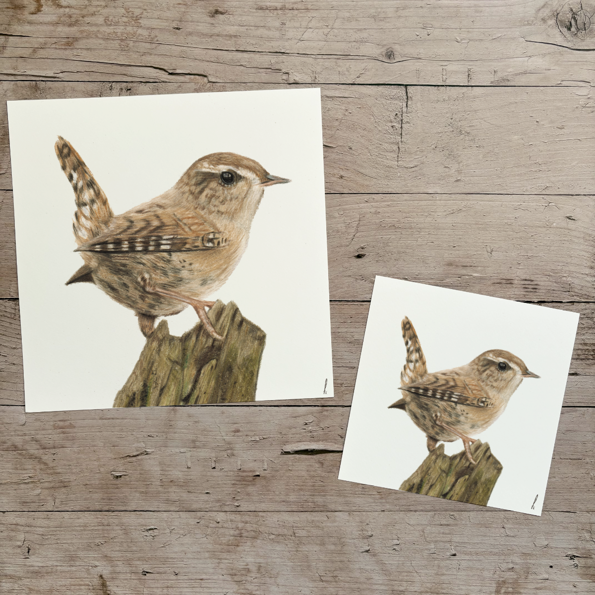 Wholesale | Print | Winterkoninkje