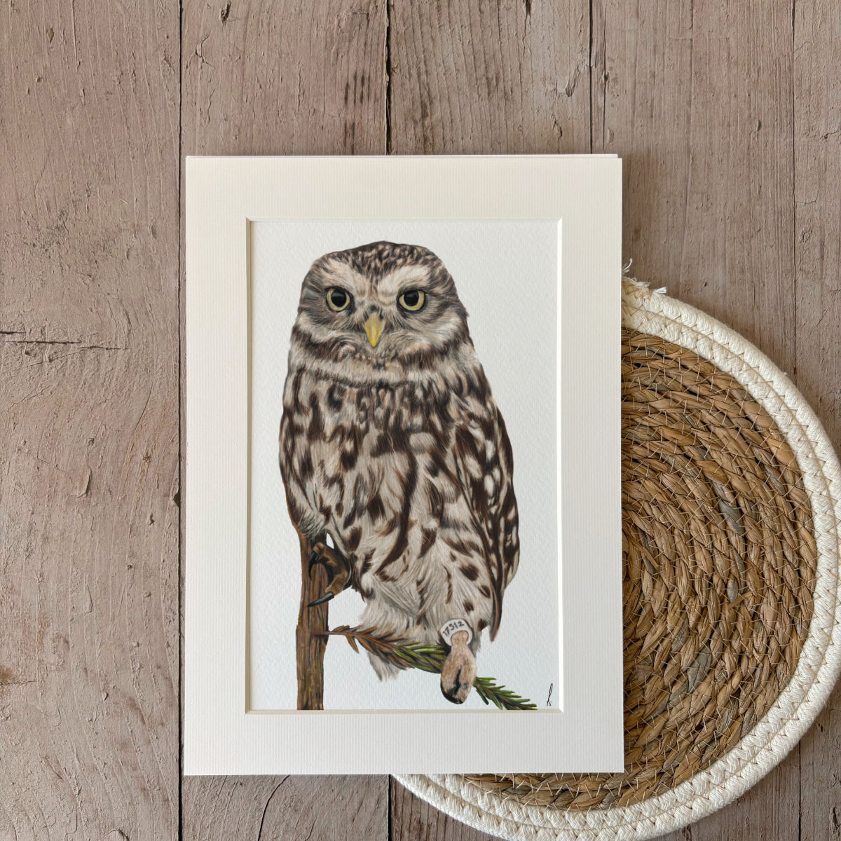 Print | Little owl