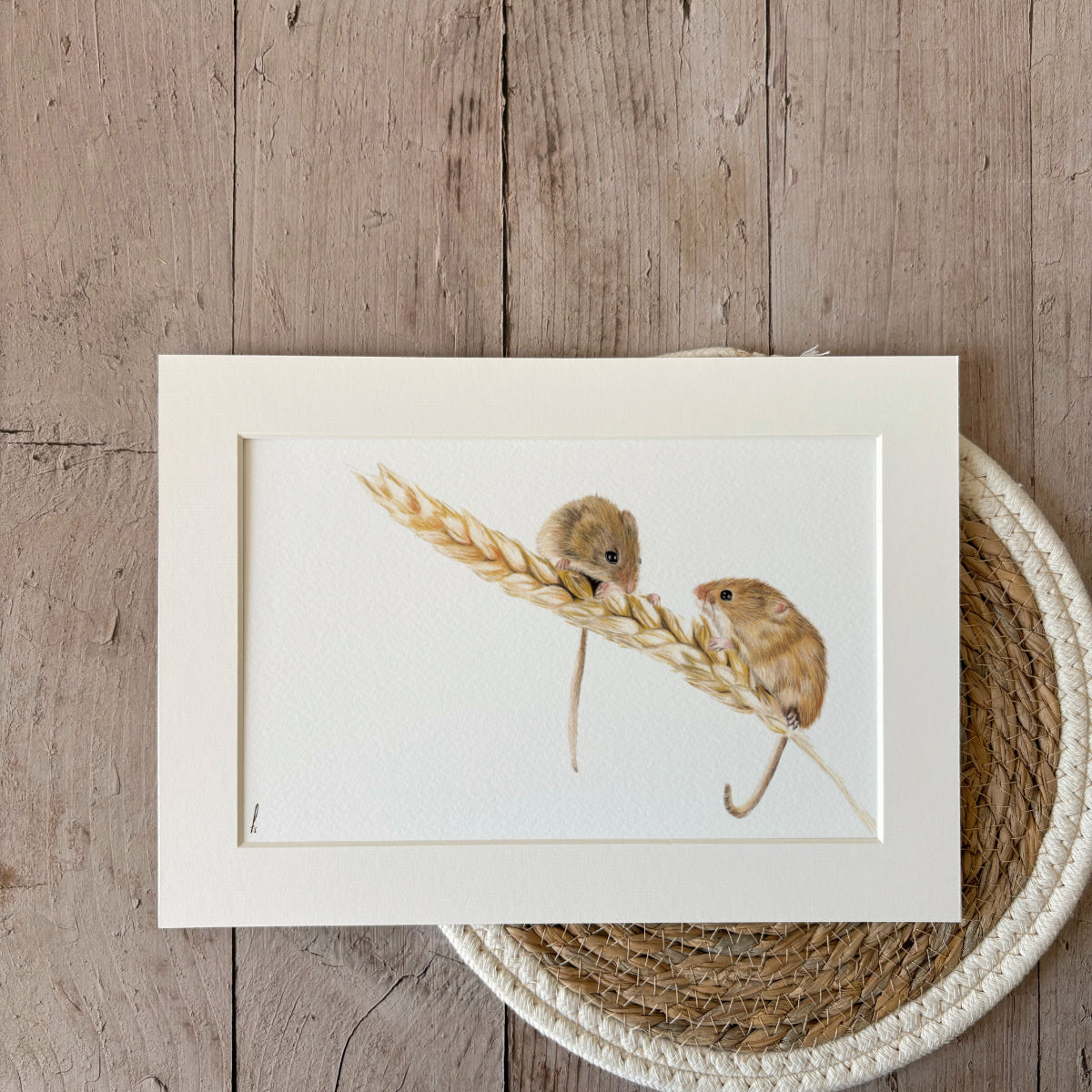 Print | Harvest mice