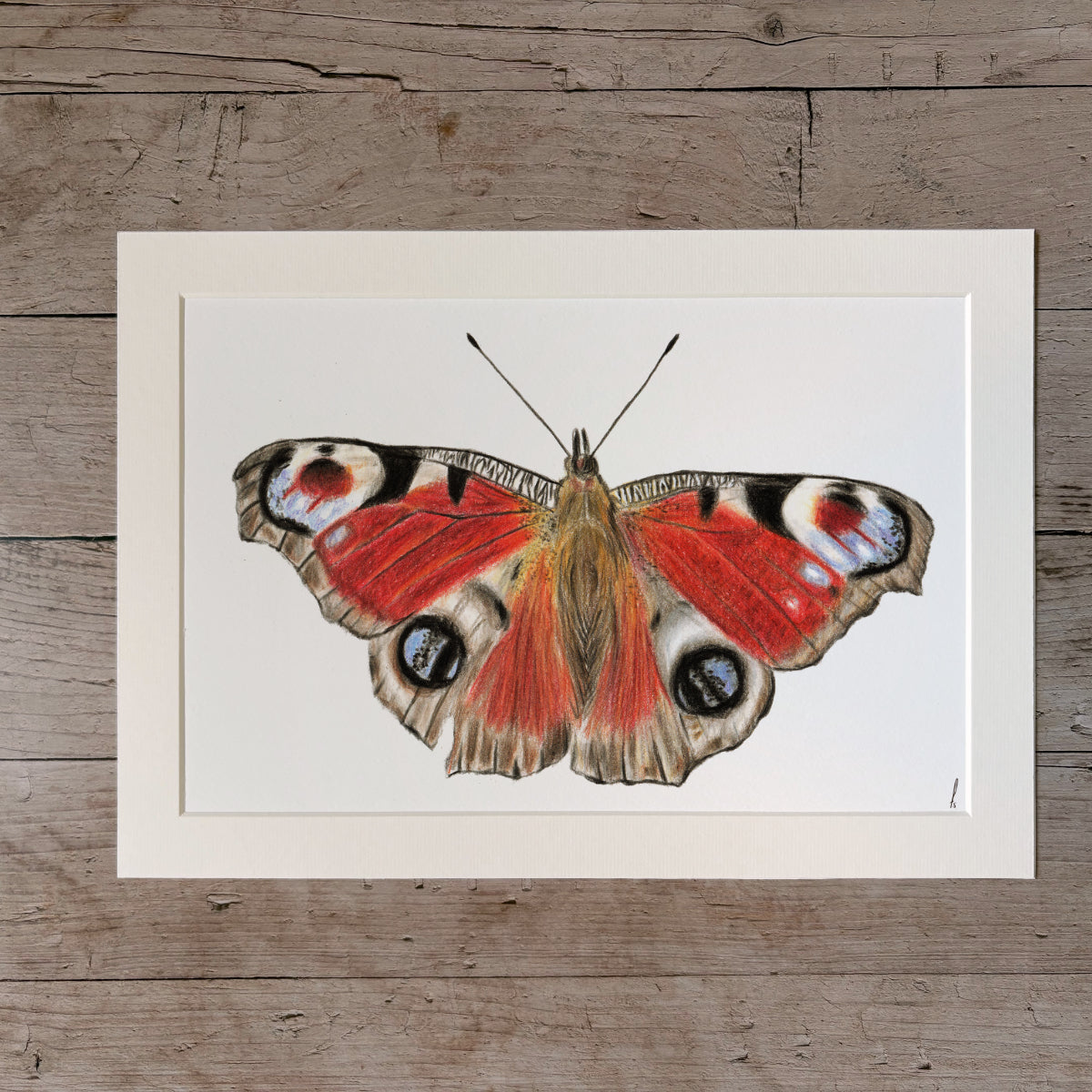 Print | Butterfly