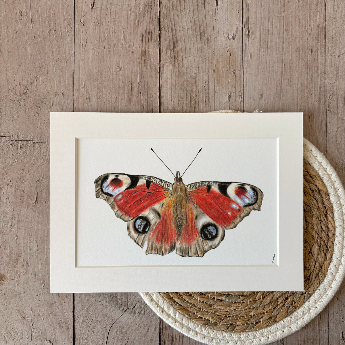Print | Butterfly
