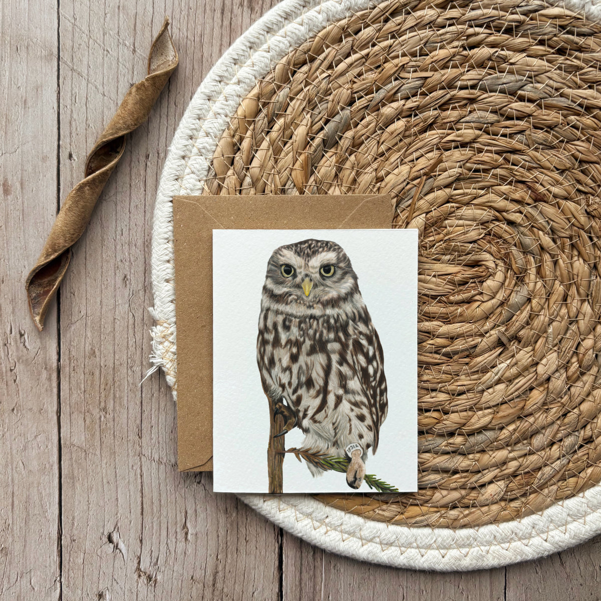 Wenskaart | Uil