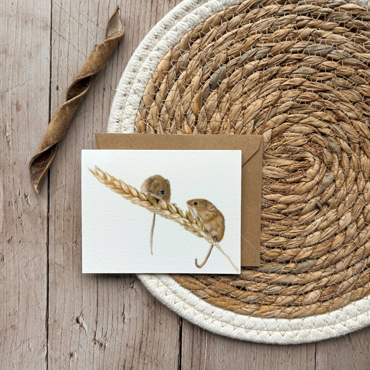 Wenskaart | Veldmuizen