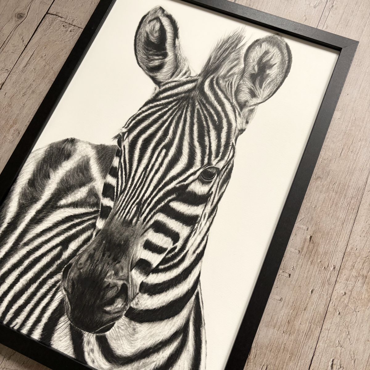 Original drawing | Zebra