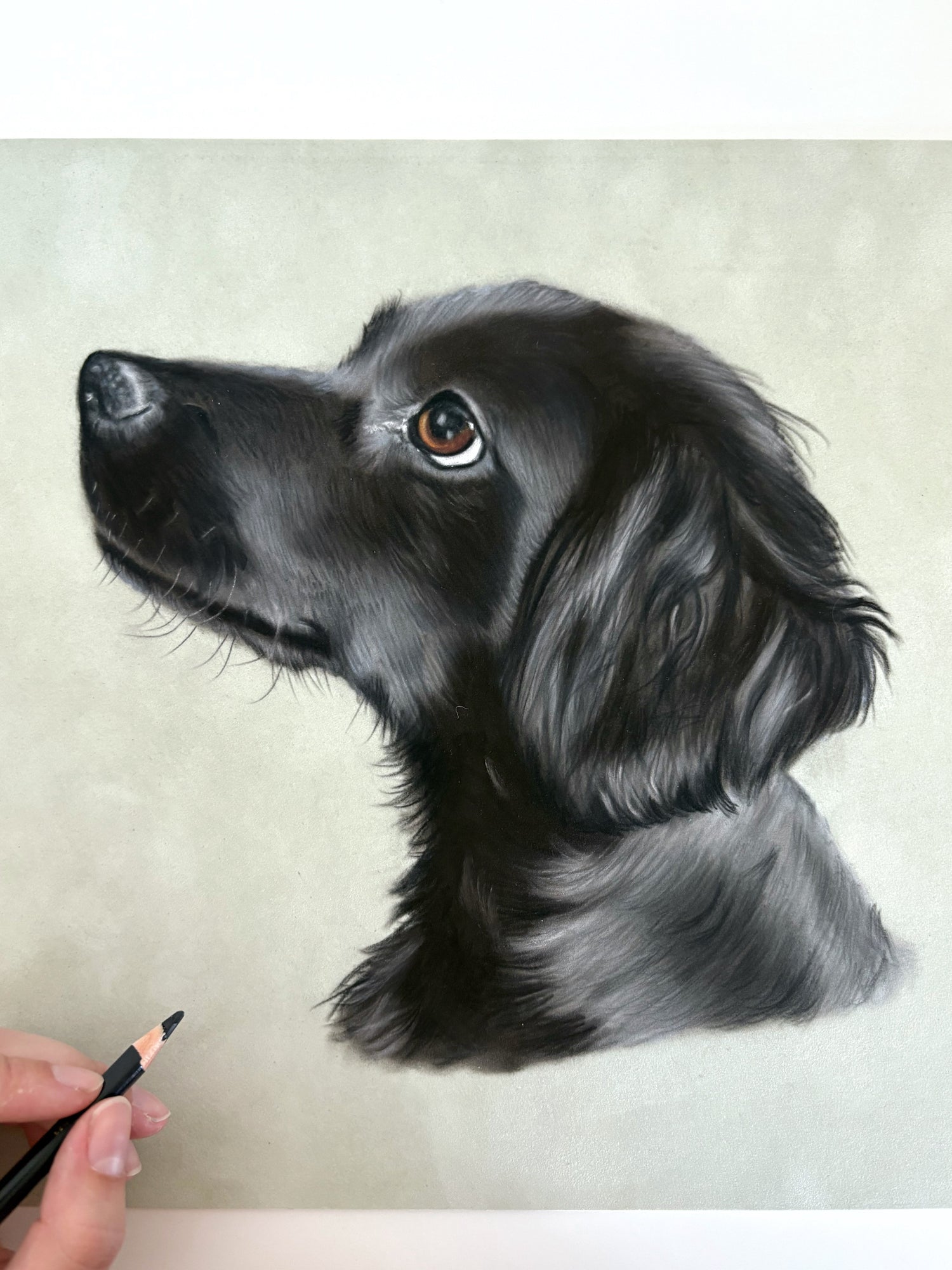 Soft pastel - ByFenStudio