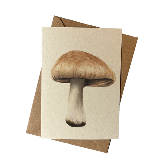 A6 kaart | Boschampignon